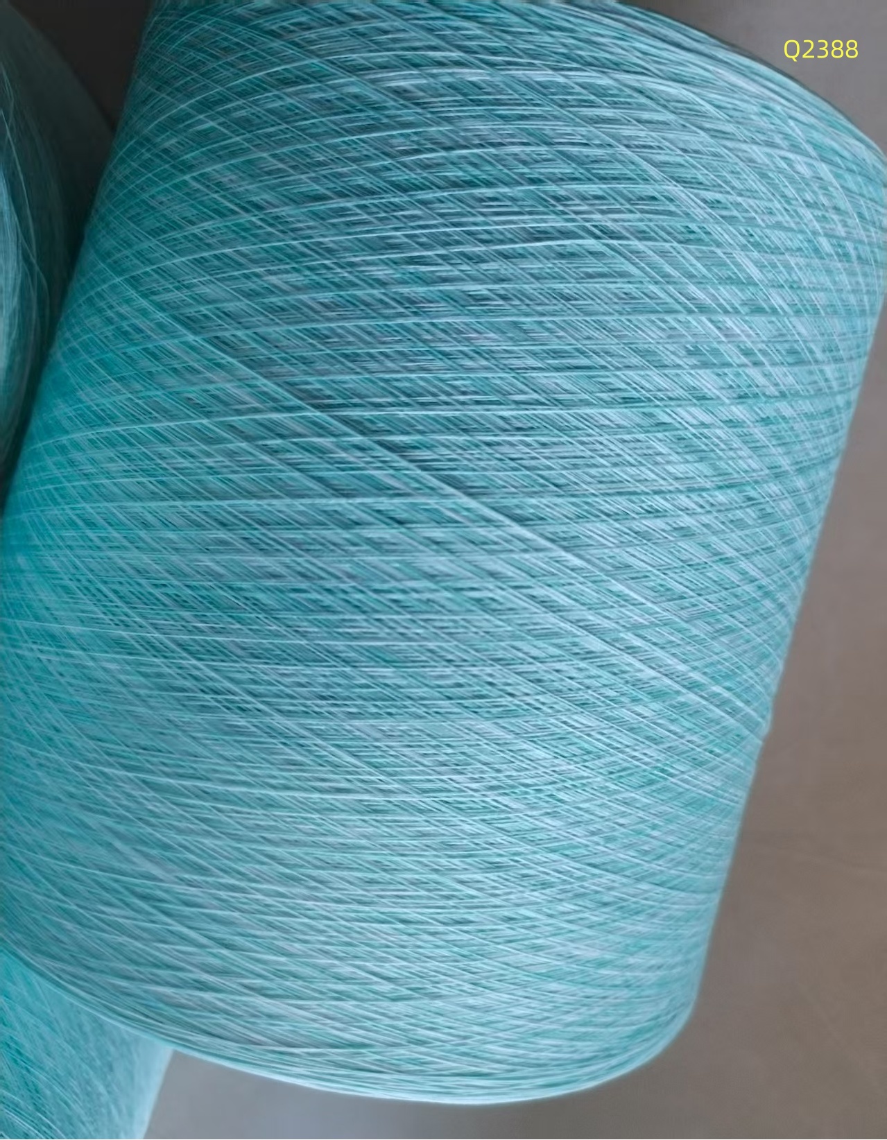 150D/48F段染紗Q2388